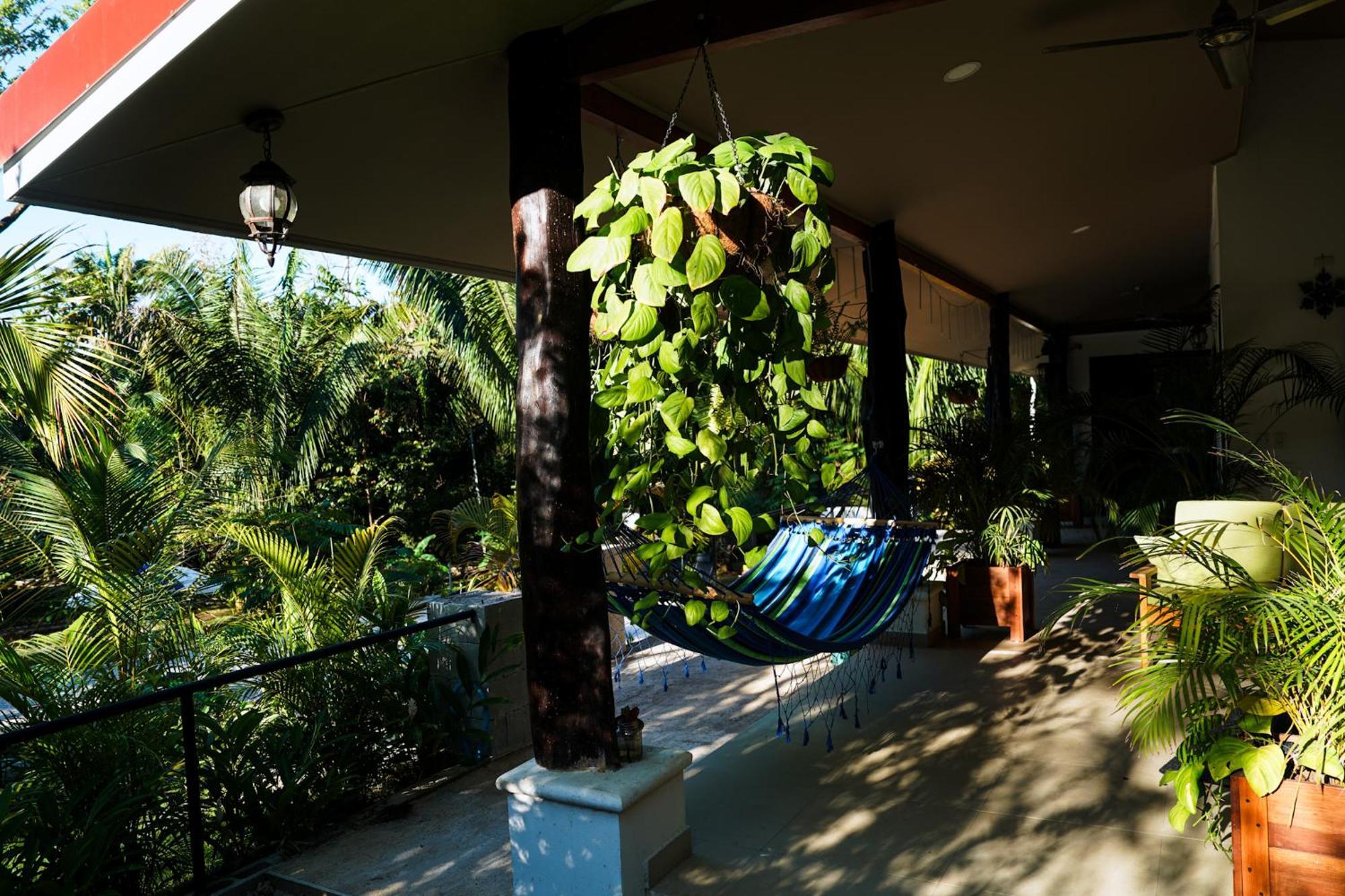 House In The Palm Forest Puerto Carrillo Kültér fotó