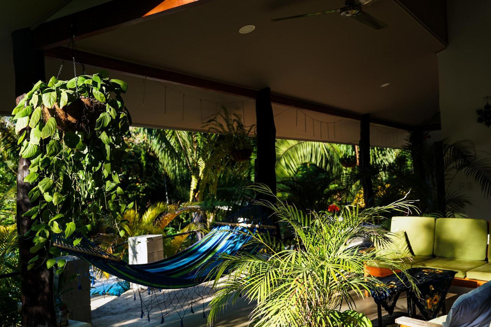 House In The Palm Forest Puerto Carrillo Kültér fotó