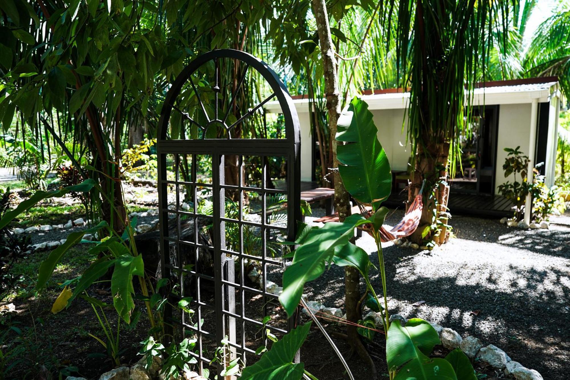 House In The Palm Forest Puerto Carrillo Kültér fotó