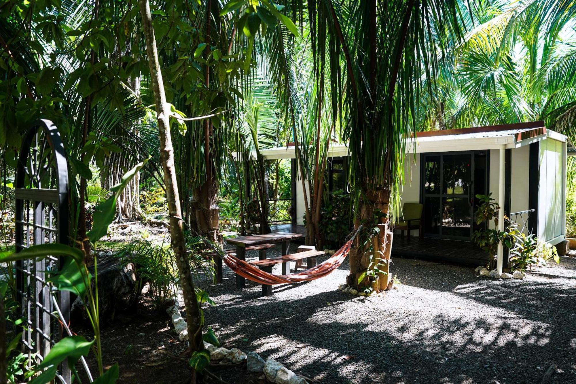 House In The Palm Forest Puerto Carrillo Kültér fotó