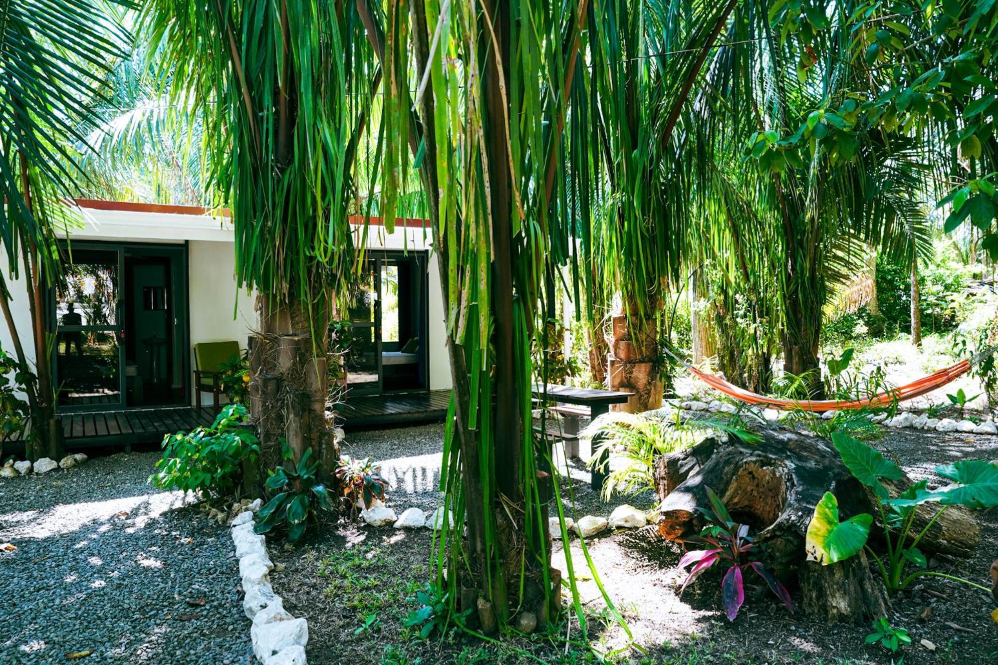 House In The Palm Forest Puerto Carrillo Kültér fotó