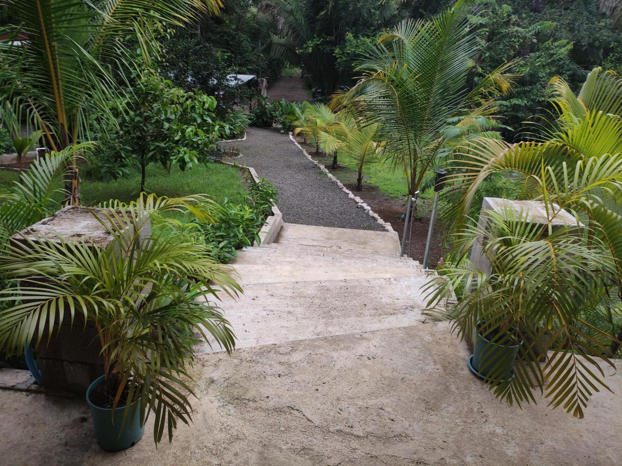 House In The Palm Forest Puerto Carrillo Kültér fotó